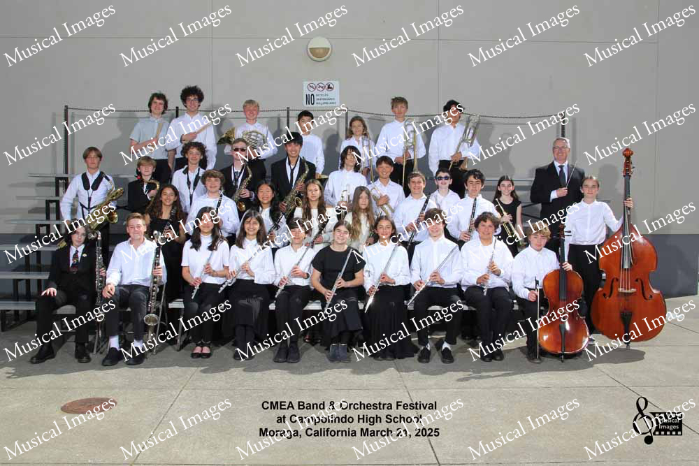 Musical Images